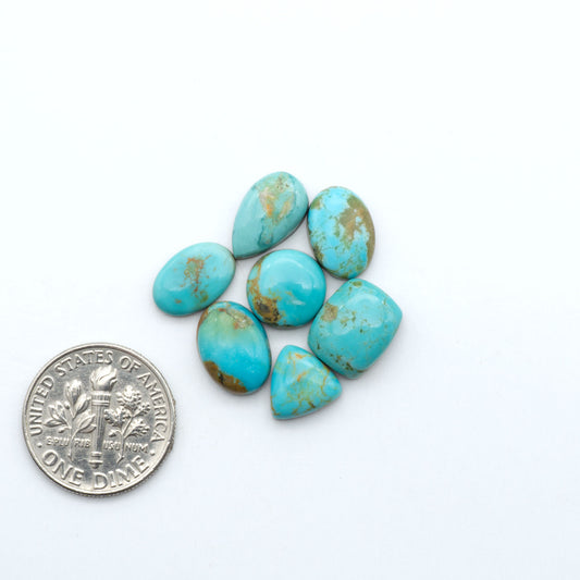 Kings Manassa Turquoise cabochons, polished green-blue gemstones with natural matrix on a white background with a US dime for scale