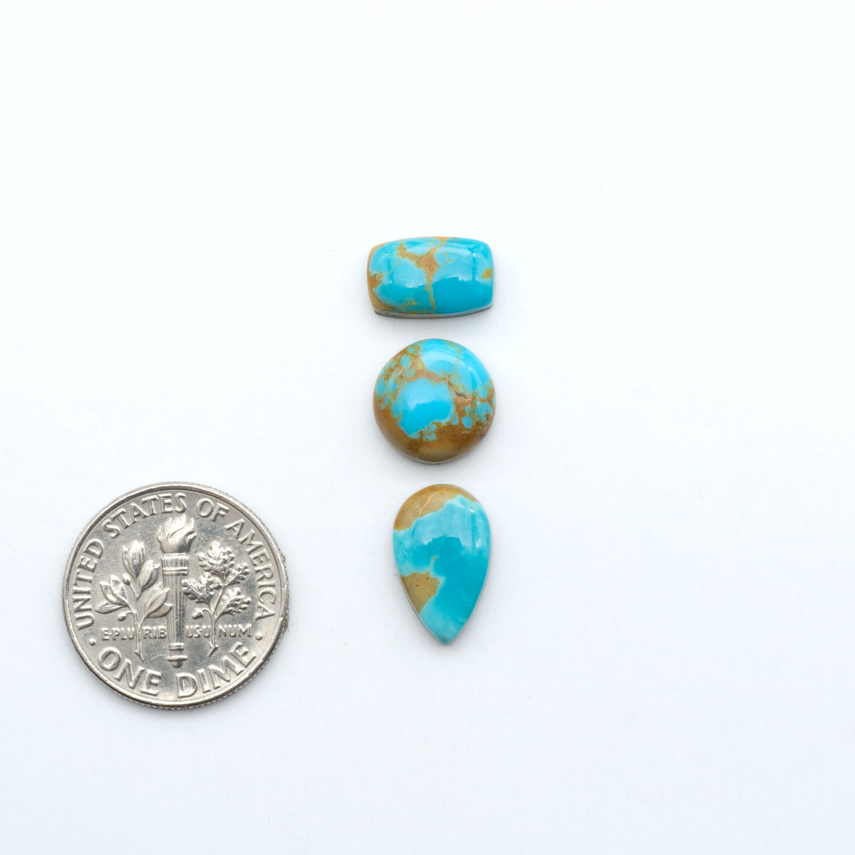 Kings Manassa Turquoise cabochons, polished green-blue gemstones with natural matrix on a white background with a US dime for scale