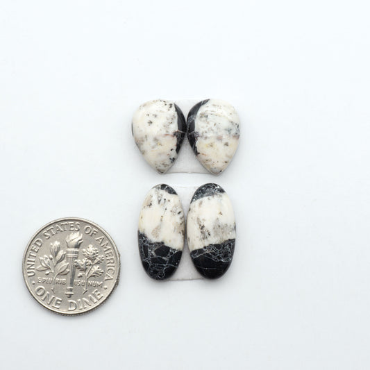 White Buffalo stone cabochons, white stone with black matrix, polished stones on a white background, with a US dime for scale