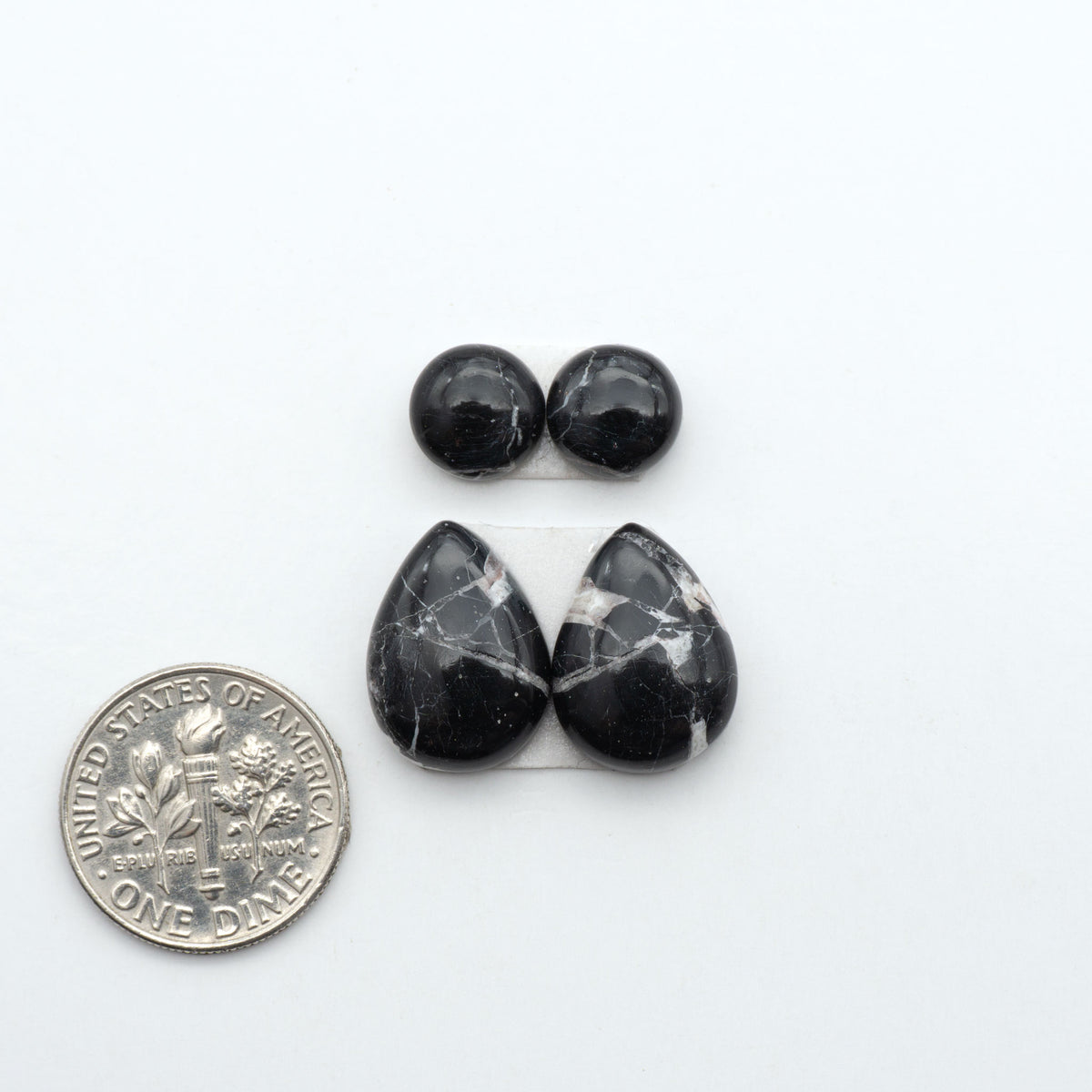 White Buffalo stone cabochons, white stone with black matrix, polished stones on a white background, with a US dime for scale
