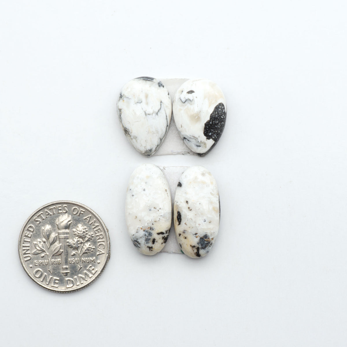 White Buffalo stone cabochons, white stone with black matrix, polished stones on a white background, with a US dime for scale
