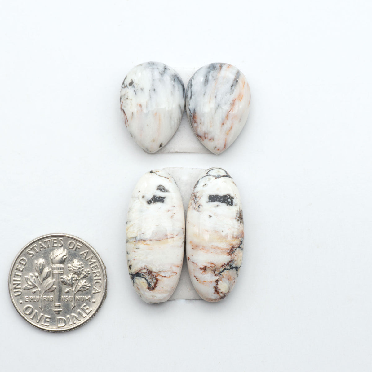 White Buffalo stone cabochons, white stone with black matrix, polished stones on a white background, with a US dime for scale