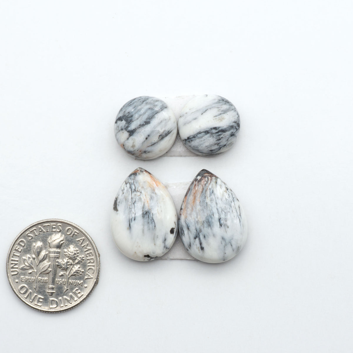White Buffalo stone cabochons, white stone with black matrix, polished stones on a white background, with a US dime for scale