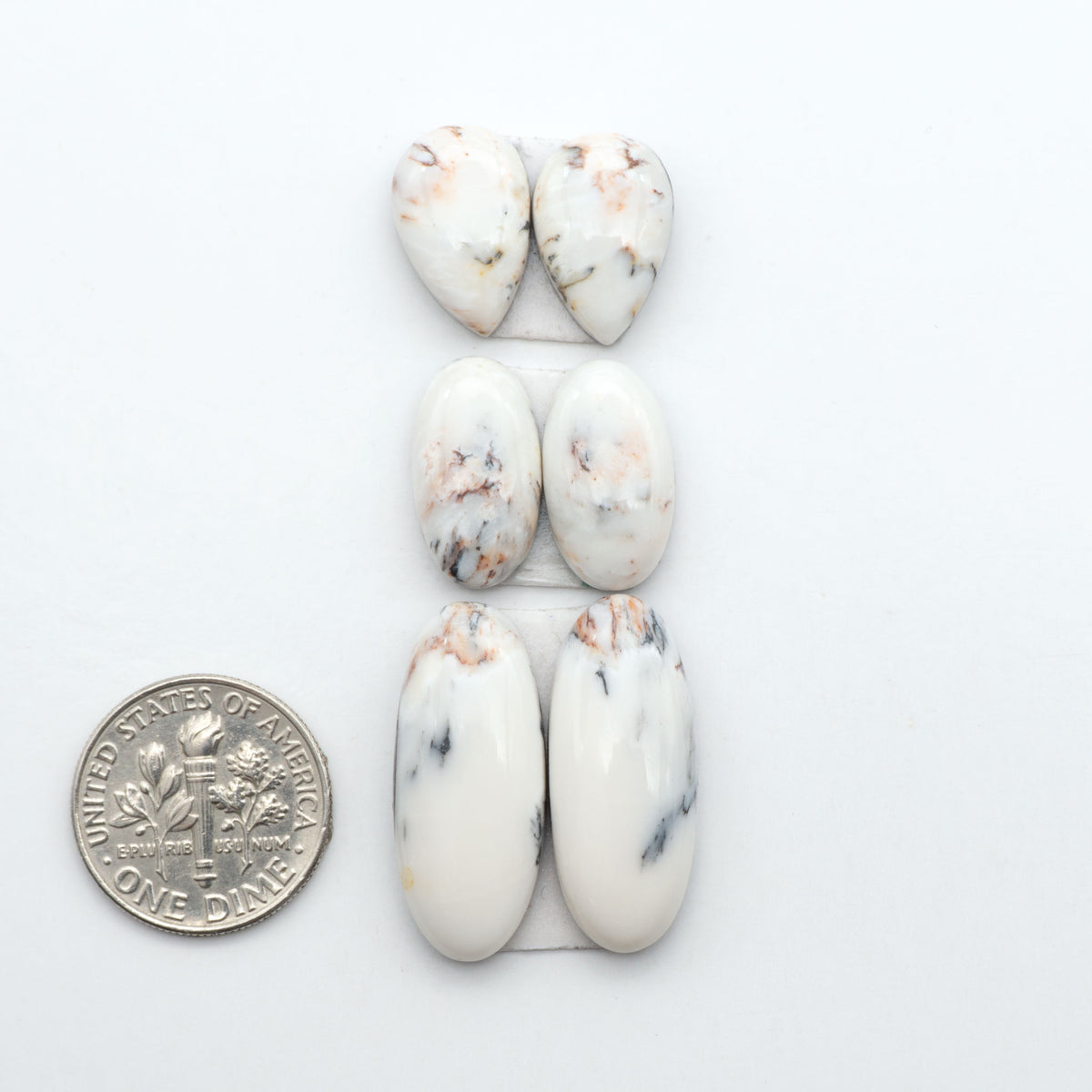 White Buffalo stone cabochons, white stone with black matrix, polished stones on a white background, with a US dime for scale