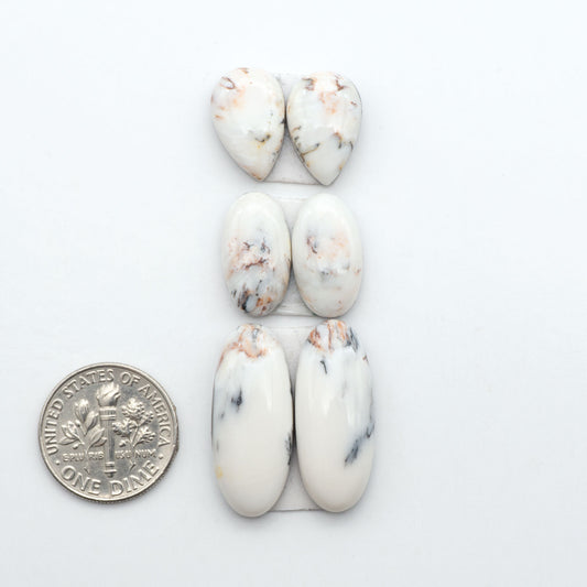 White Buffalo stone cabochons, white stone with black matrix, polished stones on a white background, with a US dime for scale