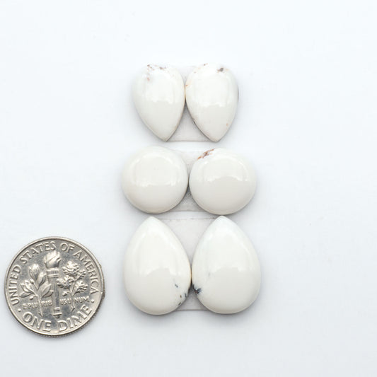 White Buffalo stone cabochons, white stone with black matrix, polished stones on a white background, with a US dime for scale