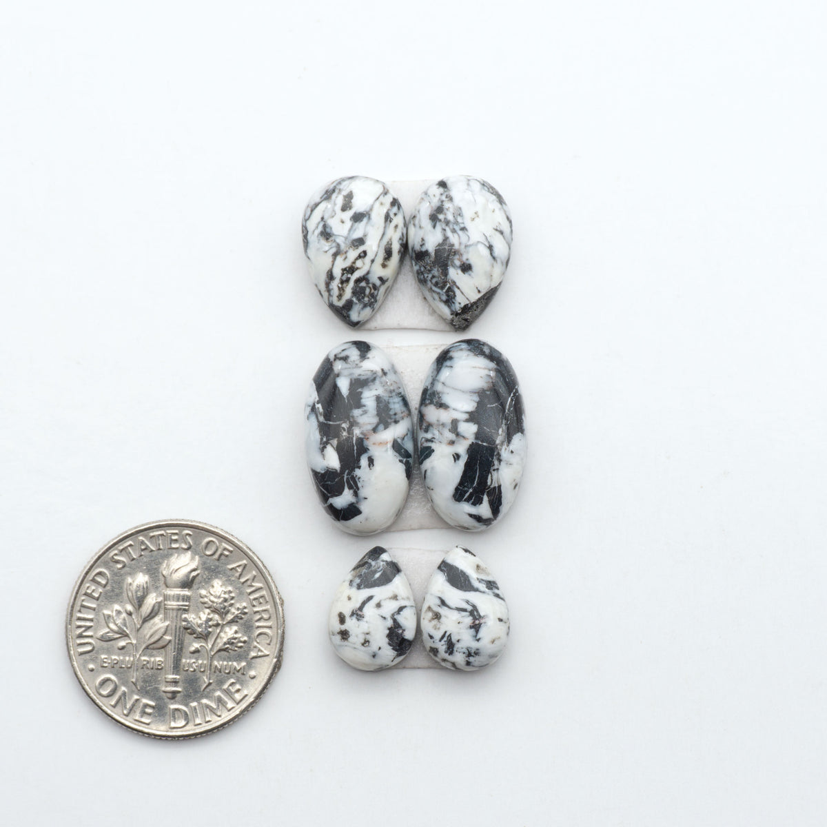 White Buffalo stone cabochons, white stone with black matrix, polished stones on a white background, with a US dime for scale