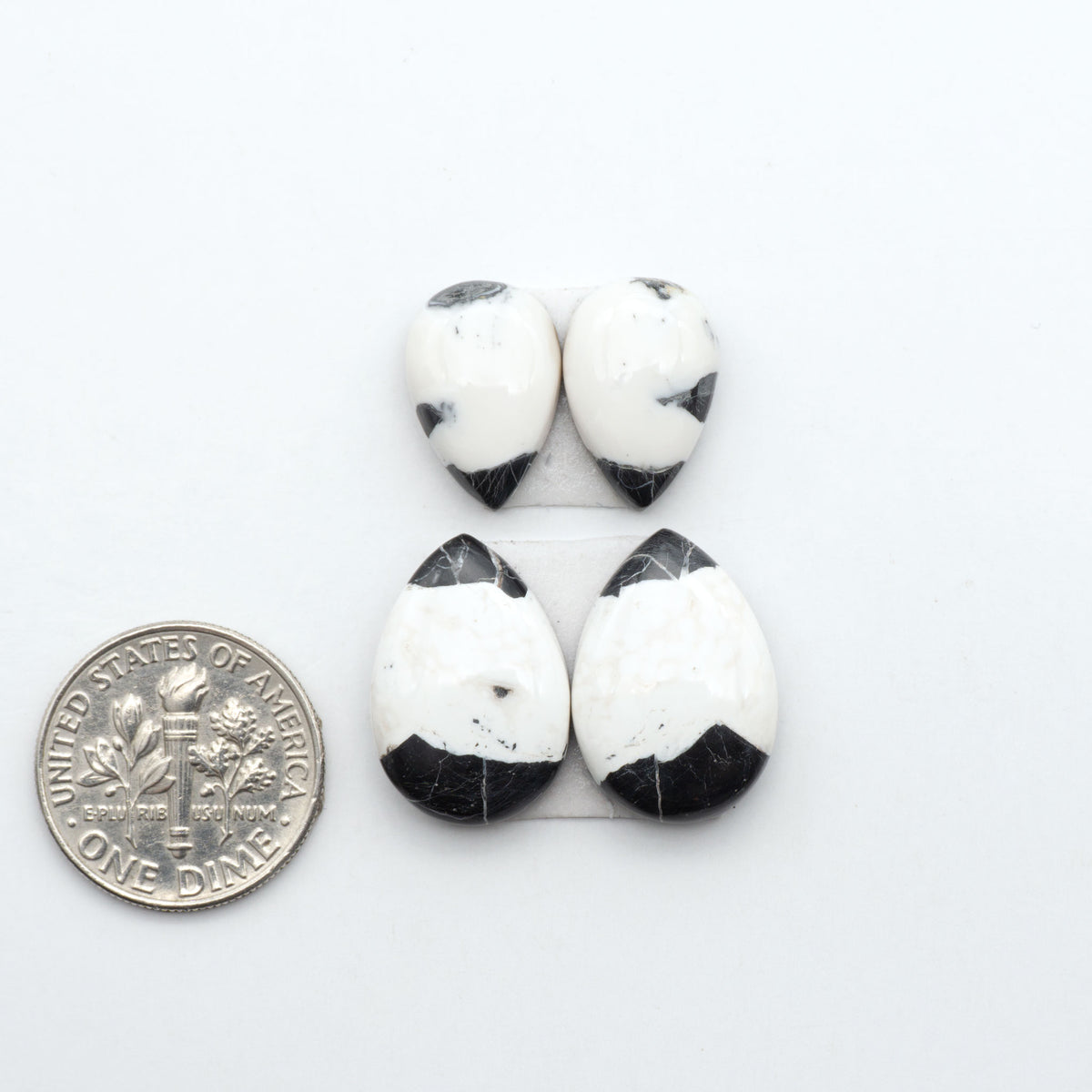 White Buffalo stone cabochons, white stone with black matrix, polished stones on a white background, with a US dime for scale