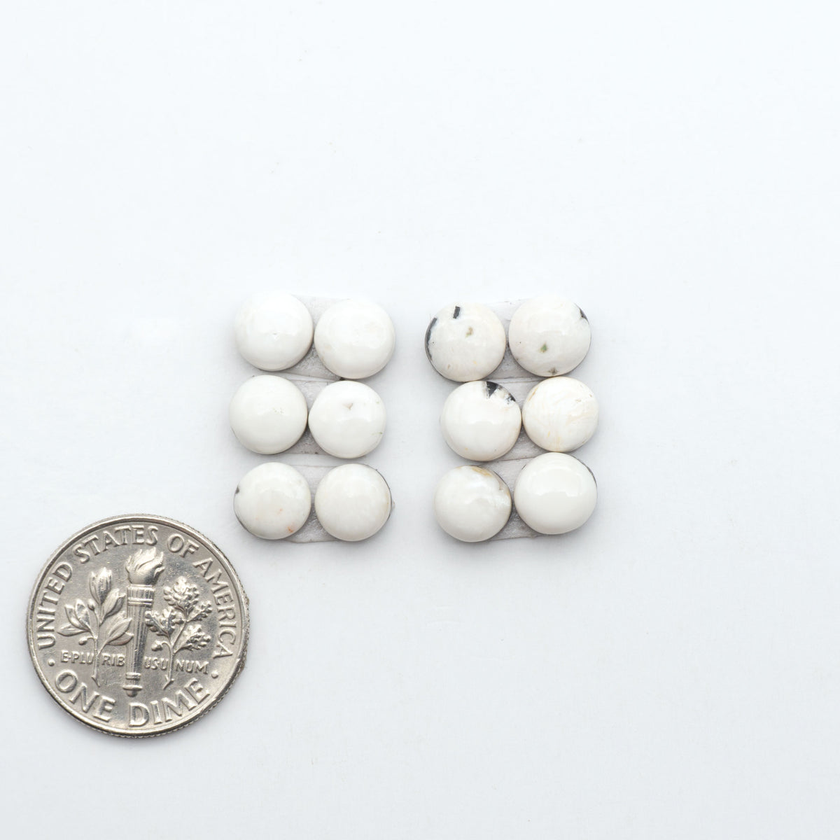 White Buffalo stone cabochons, white stone with black matrix, polished stones on a white background, with a US dime for scale