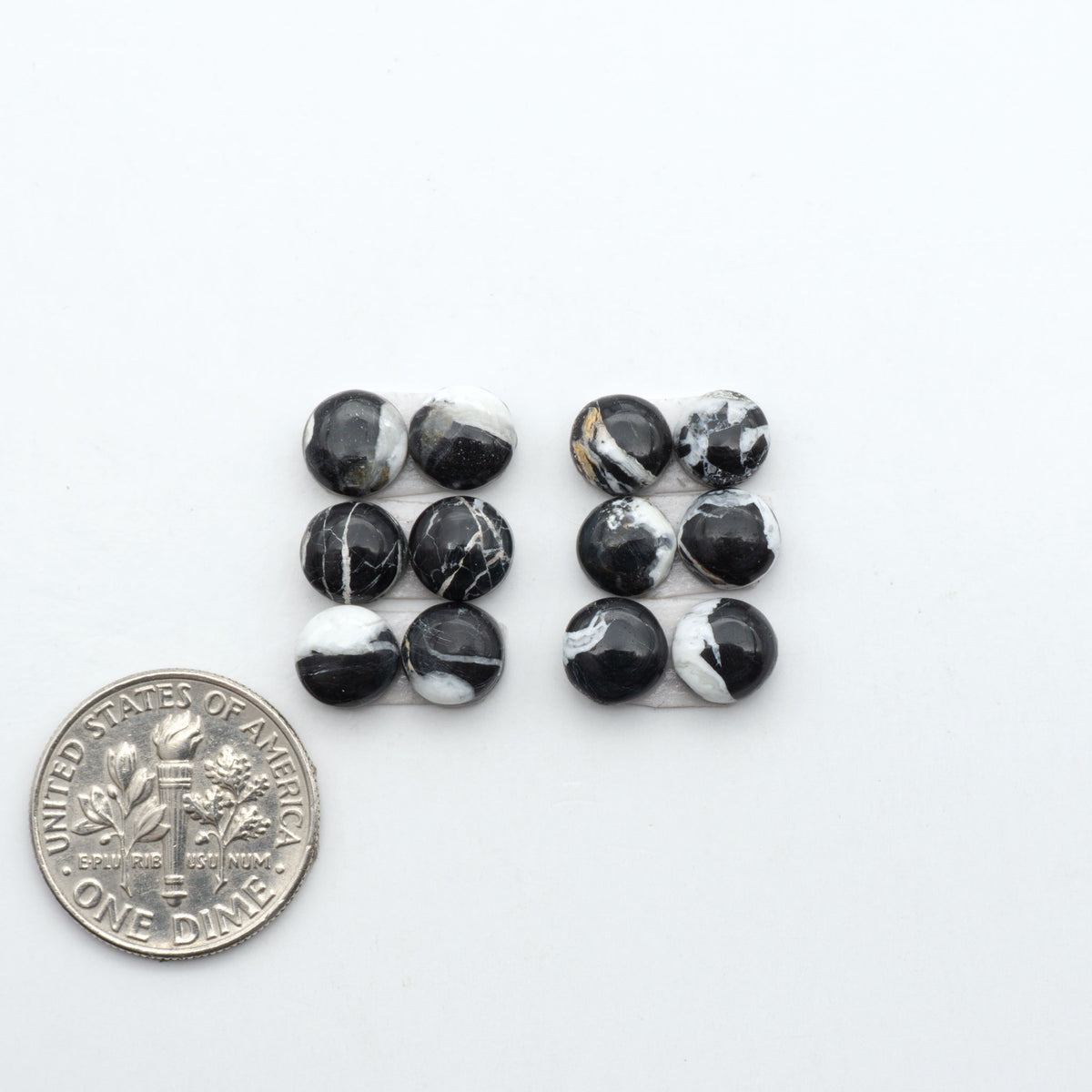 White Buffalo stone cabochons, white stone with black matrix, polished stones on a white background, with a US dime for scale