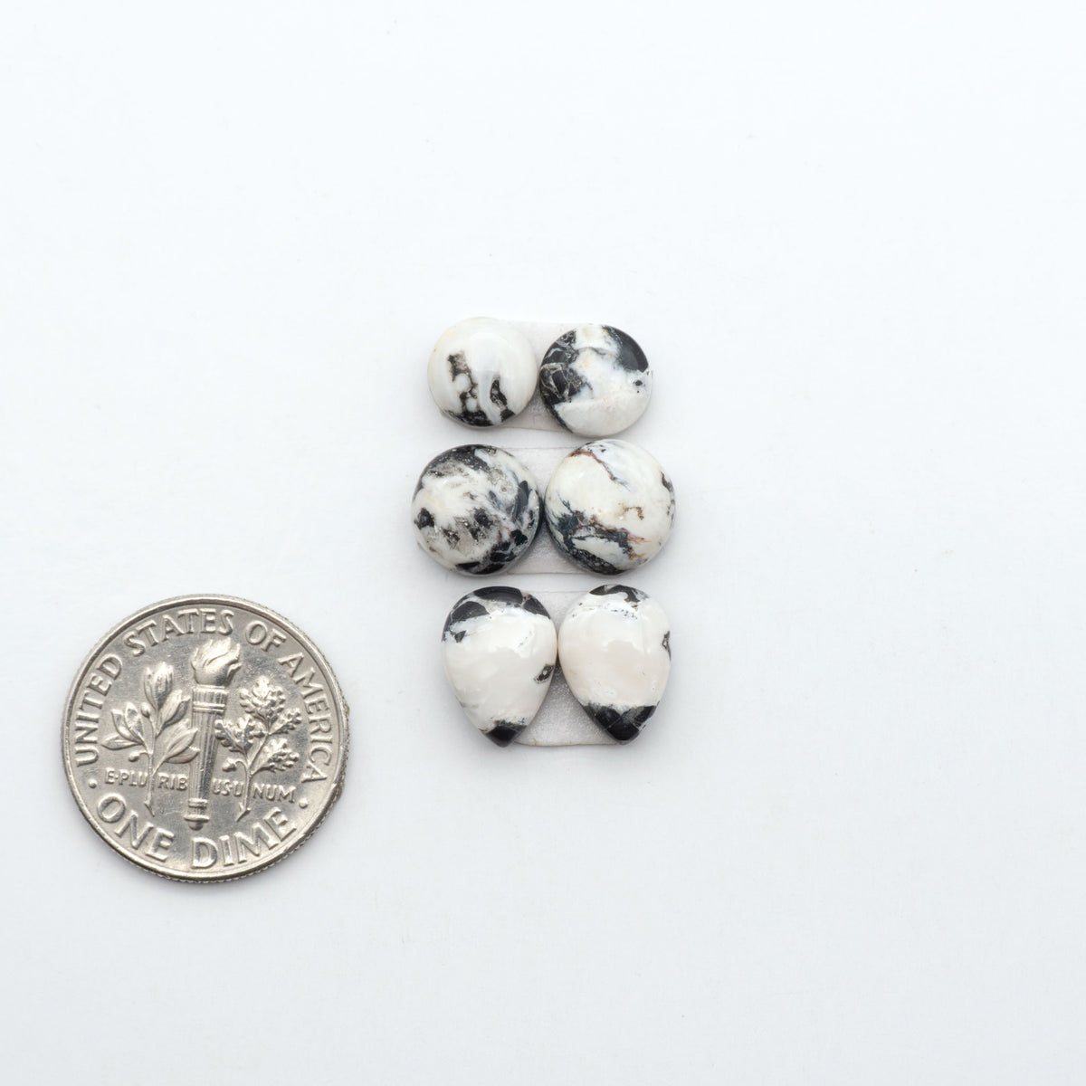 White Buffalo stone cabochons, white stone with black matrix, polished stones on a white background, with a US dime for scale