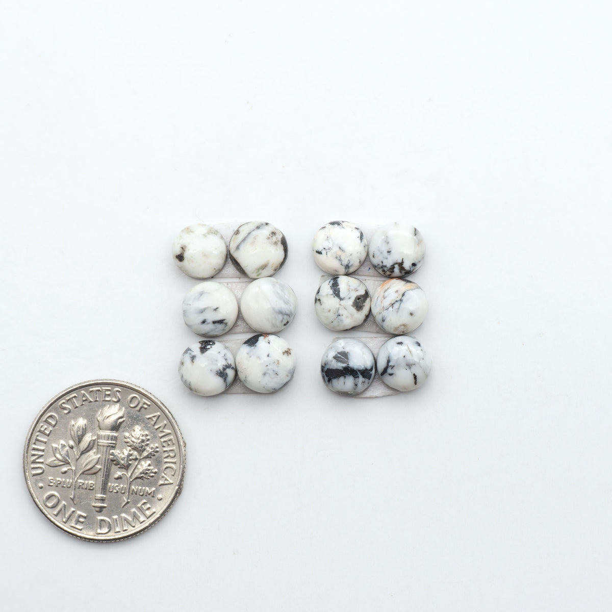 White Buffalo stone cabochons, white stone with black matrix, polished stones on a white background, with a US dime for scale