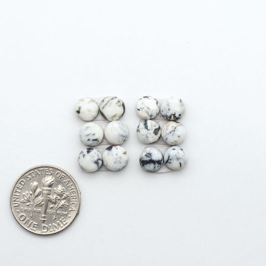White Buffalo stone cabochons, white stone with black matrix, polished stones on a white background, with a US dime for scale