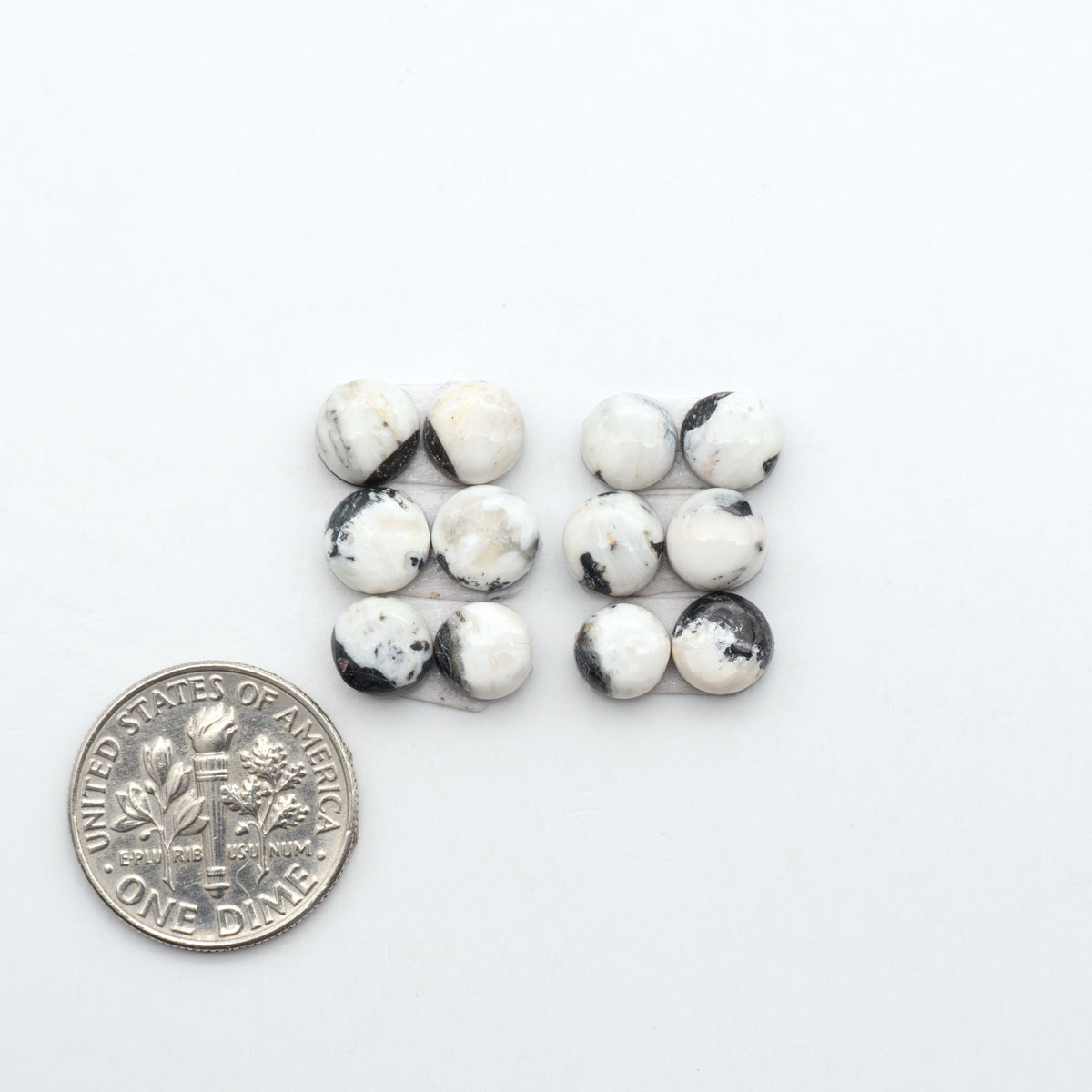 White Buffalo stone cabochons, white stone with black matrix, polished stones on a white background, with a US dime for scale