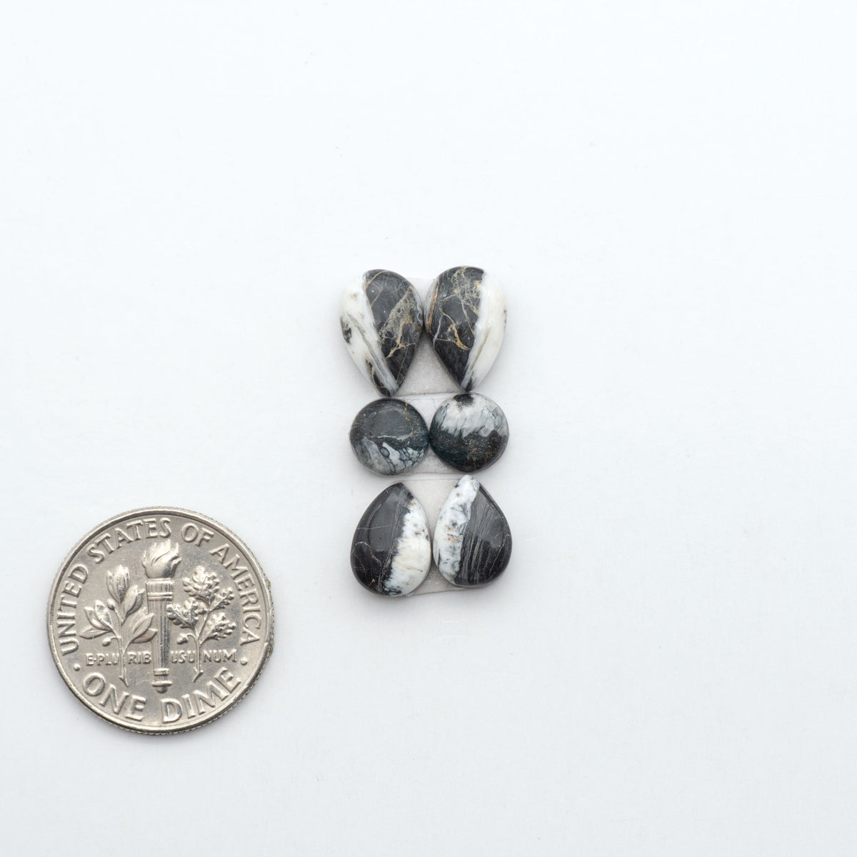 White Buffalo stone cabochons, white stone with black matrix, polished stones on a white background, with a US dime for scale