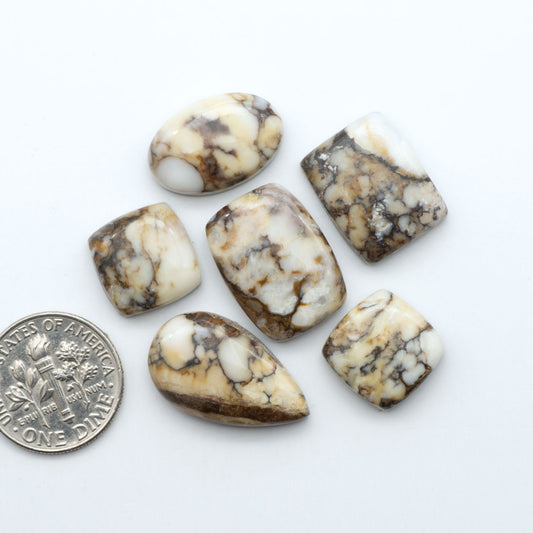Wild Horse Magnesite cabochons, white gemstones with brown matrix on a white background, with a US dime for scale