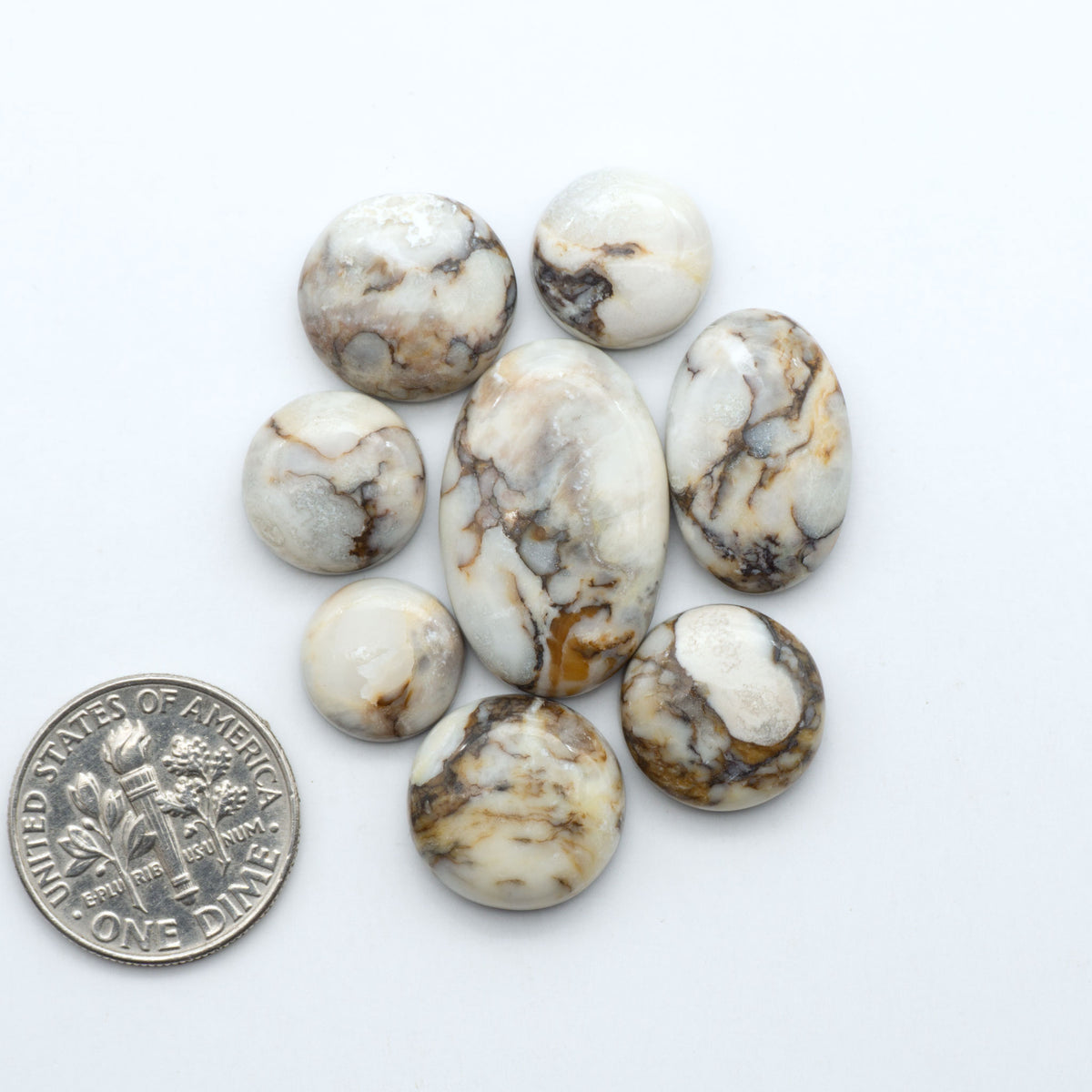 Wild Horse Magnesite cabochons, white gemstones with brown matrix on a white background, with a US dime for scale