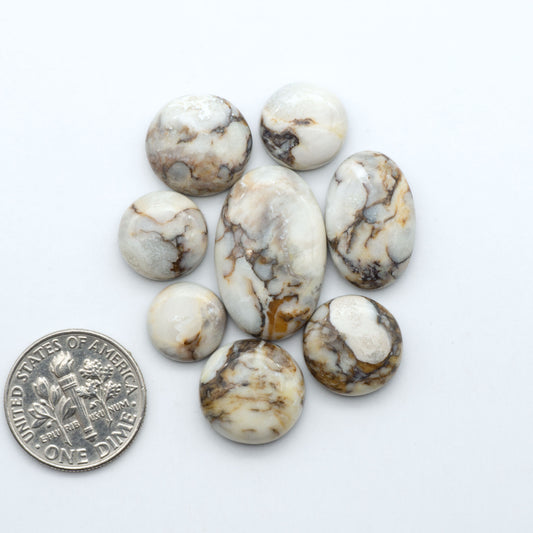 Wild Horse Magnesite cabochons, white gemstones with brown matrix on a white background, with a US dime for scale