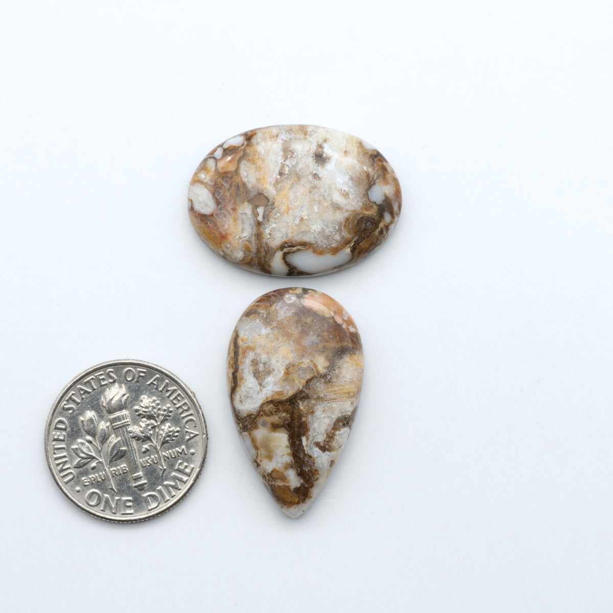 Wild Horse Magnesite cabochons, white gemstones with brown matrix on a white background, with a US dime for scale