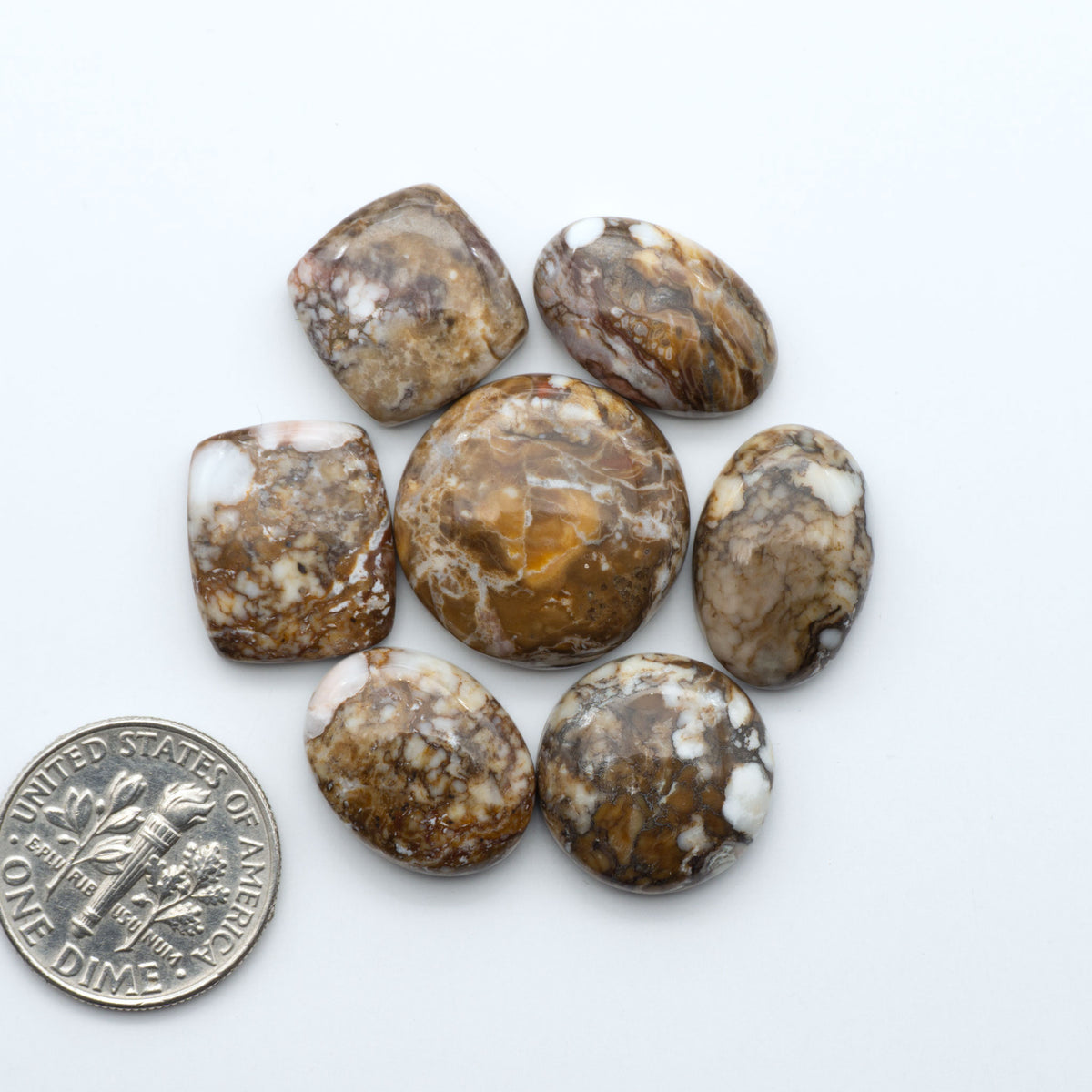 Wild Horse Magnesite cabochons, white gemstones with brown matrix on a white background, with a US dime for scale