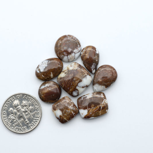 Wild Horse Magnesite cabochons, white gemstones with brown matrix on a white background, with a US dime for scale