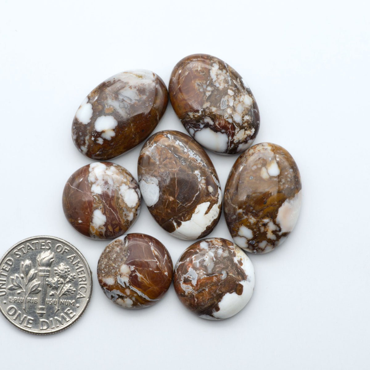 Wild Horse Magnesite cabochons, white gemstones with brown matrix on a white background, with a US dime for scale