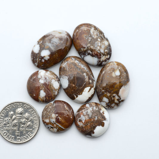 Wild Horse Magnesite cabochons, white gemstones with brown matrix on a white background, with a US dime for scale