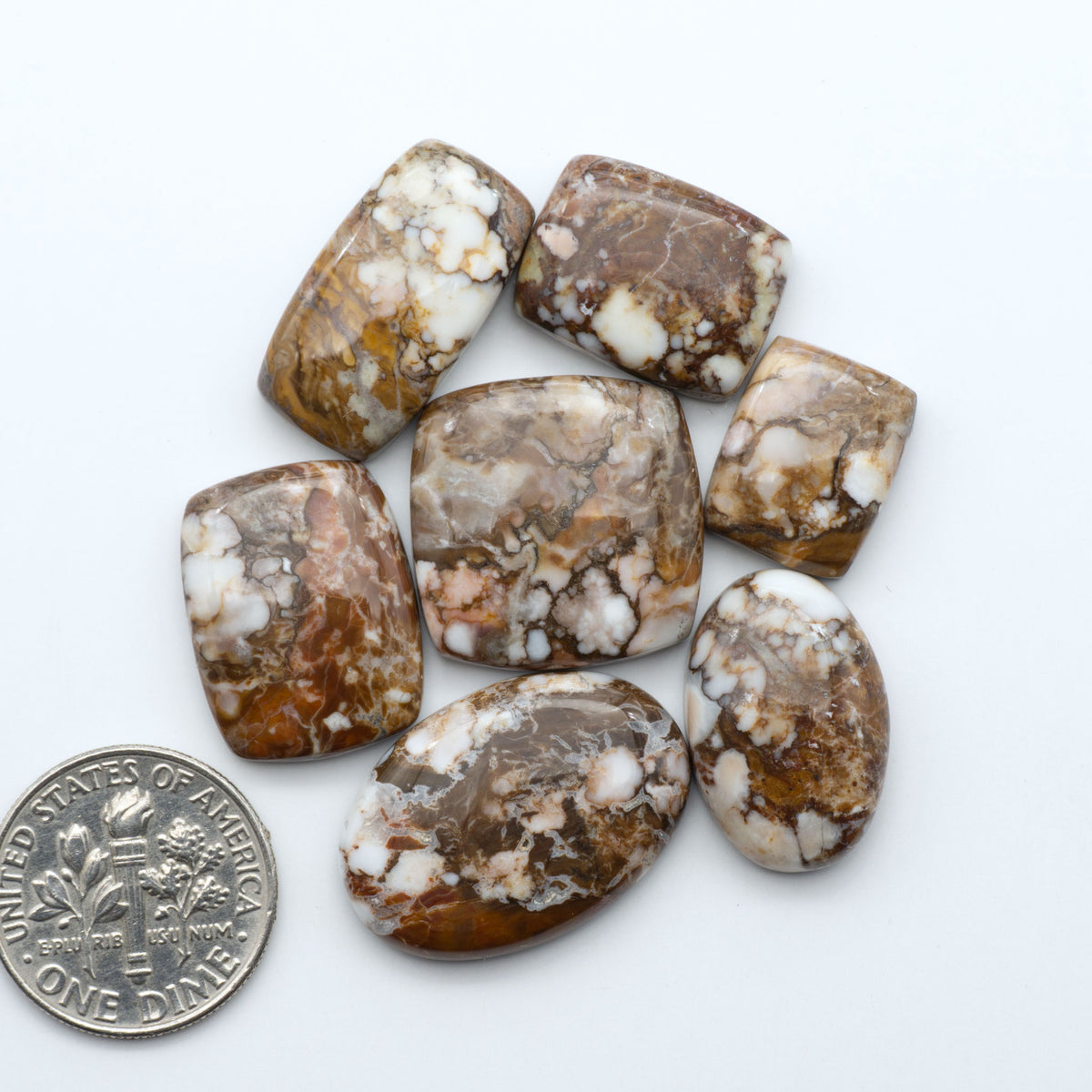 Wild Horse Magnesite cabochons, white gemstones with brown matrix on a white background, with a US dime for scale