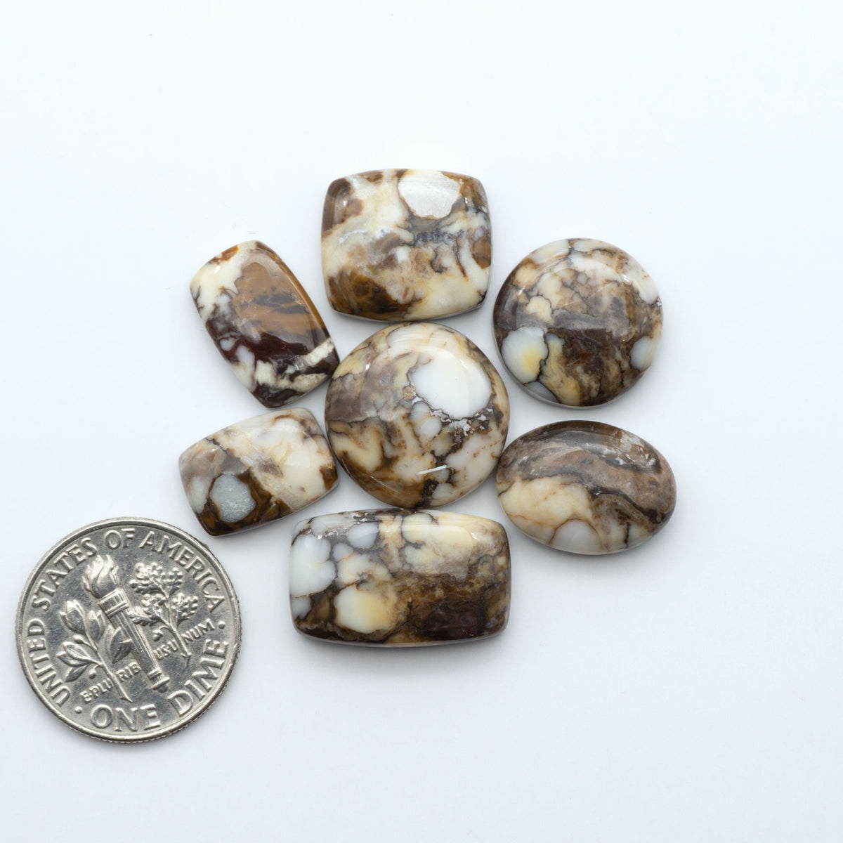 Wild Horse Magnesite cabochons, white gemstones with brown matrix on a white background, with a US dime for scale