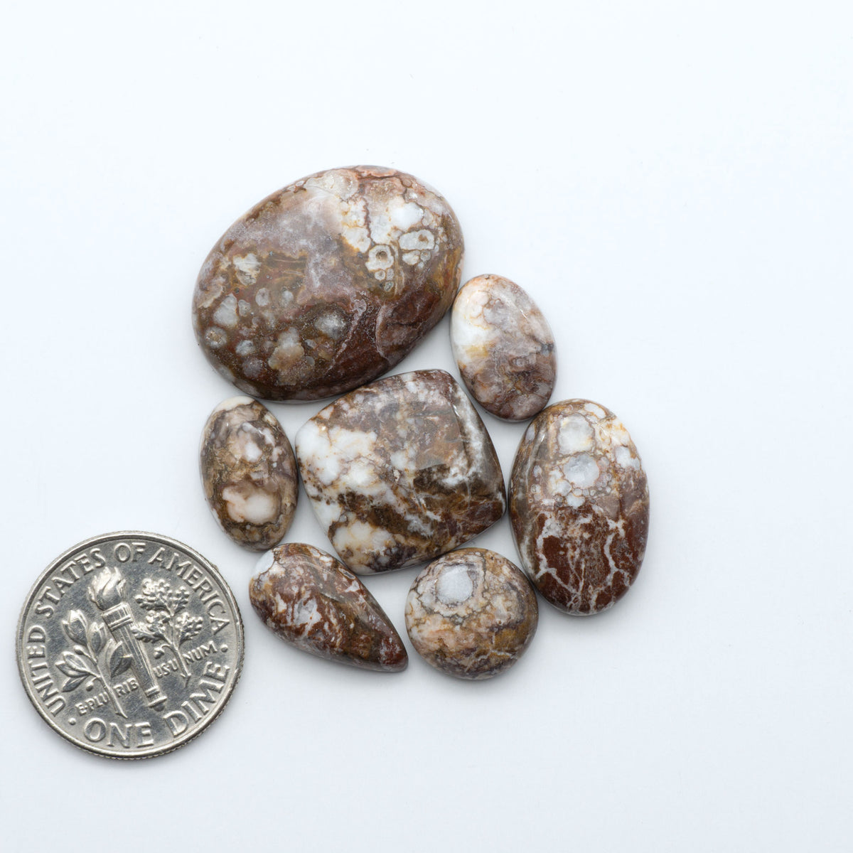 Wild Horse Magnesite cabochons, white gemstones with brown matrix on a white background, with a US dime for scale