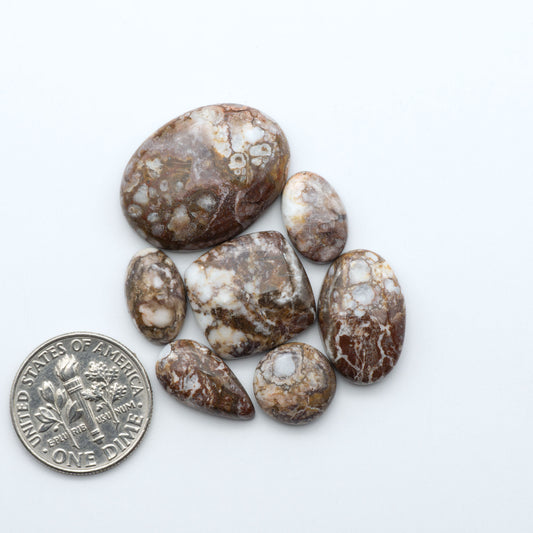 Wild Horse Magnesite cabochons, white gemstones with brown matrix on a white background, with a US dime for scale