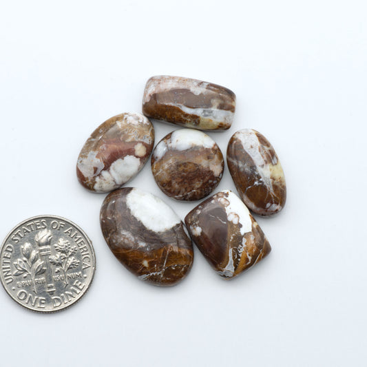 Wild Horse Magnesite cabochons, white gemstones with brown matrix on a white background, with a US dime for scale