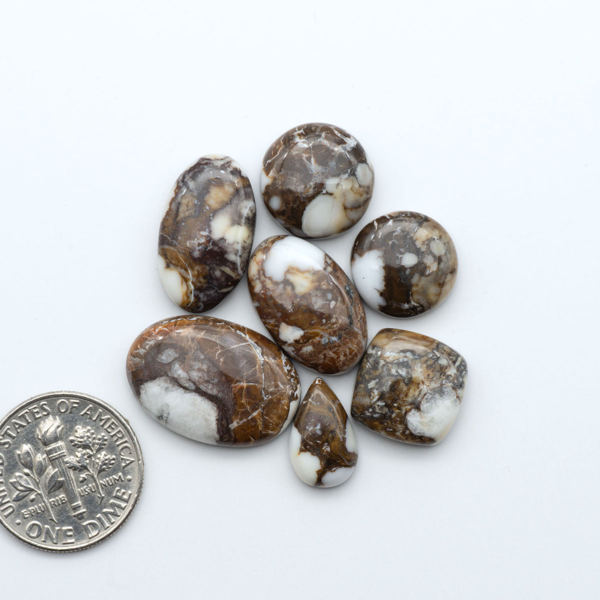 Wild Horse Magnesite cabochons, white gemstones with brown matrix on a white background, with a US dime for scale
