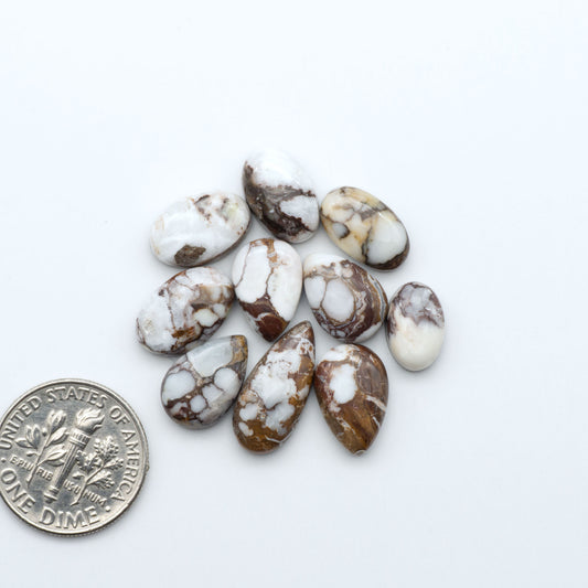 Wild Horse Magnesite cabochons, white gemstones with brown matrix on a white background, with a US dime for scale