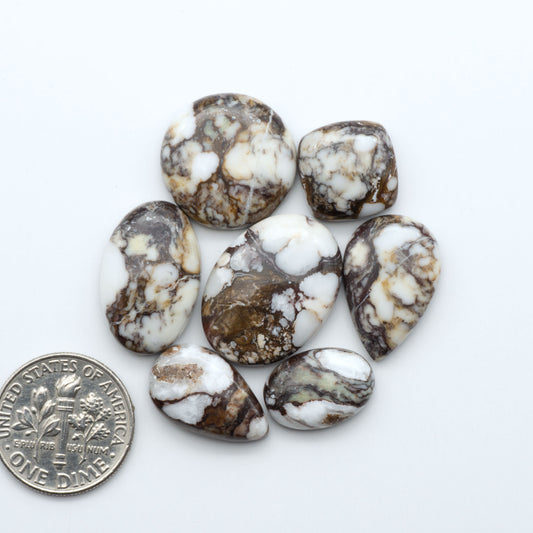 Wild Horse Magnesite cabochons, white gemstones with brown matrix on a white background, with a US dime for scale