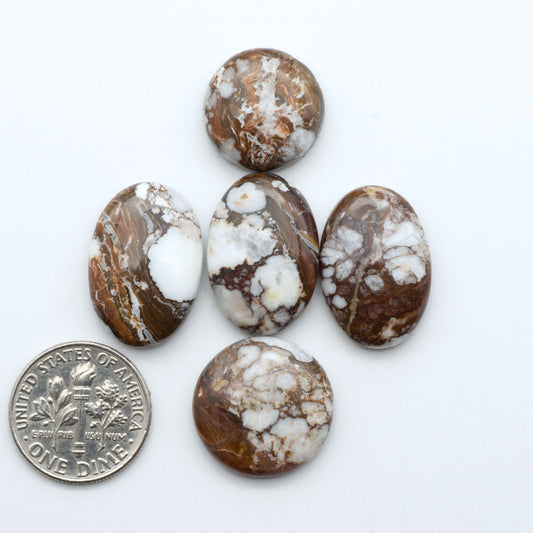 Wild Horse Magnesite cabochons, white gemstones with brown matrix on a white background, with a US dime for scale