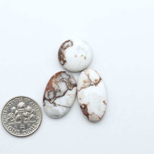 Wild Horse Magnesite cabochons, white gemstones with brown matrix on a white background, with a US dime for scale