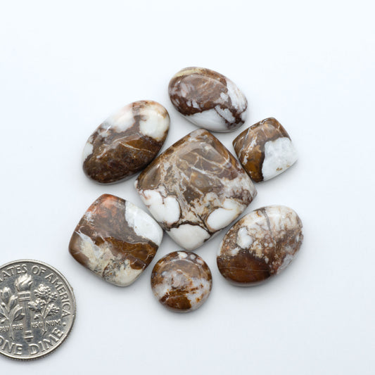 Wild Horse Magnesite cabochons, white gemstones with brown matrix on a white background, with a US dime for scale
