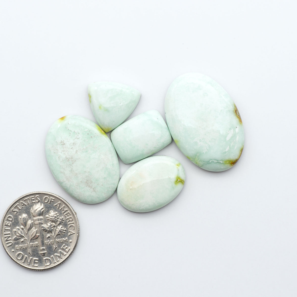 Palomino Variscite cabochons, polished yellow-green gemstones with natural matrix on a white background with a US dime for scale