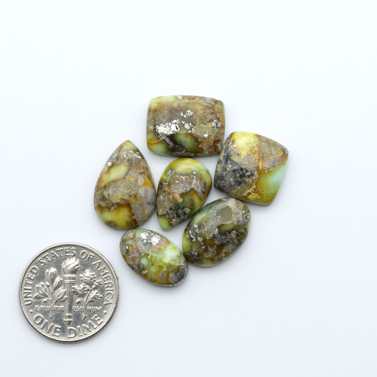 Palomino Variscite cabochons, polished yellow-green gemstones with natural matrix on a white background with a US dime for scale