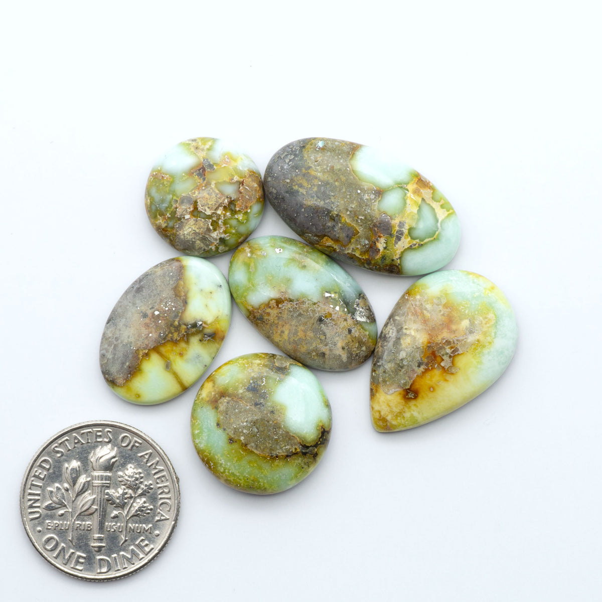 Palomino Variscite cabochons, polished yellow-green gemstones with natural matrix on a white background with a US dime for scale