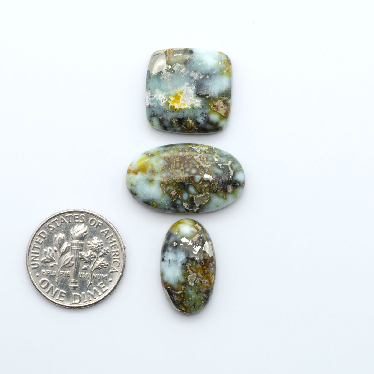 Palomino Variscite cabochons, polished yellow-green gemstones with natural matrix on a white background with a US dime for scale