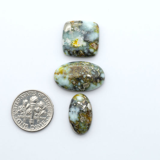 Palomino Variscite cabochons, polished yellow-green gemstones with natural matrix on a white background with a US dime for scale