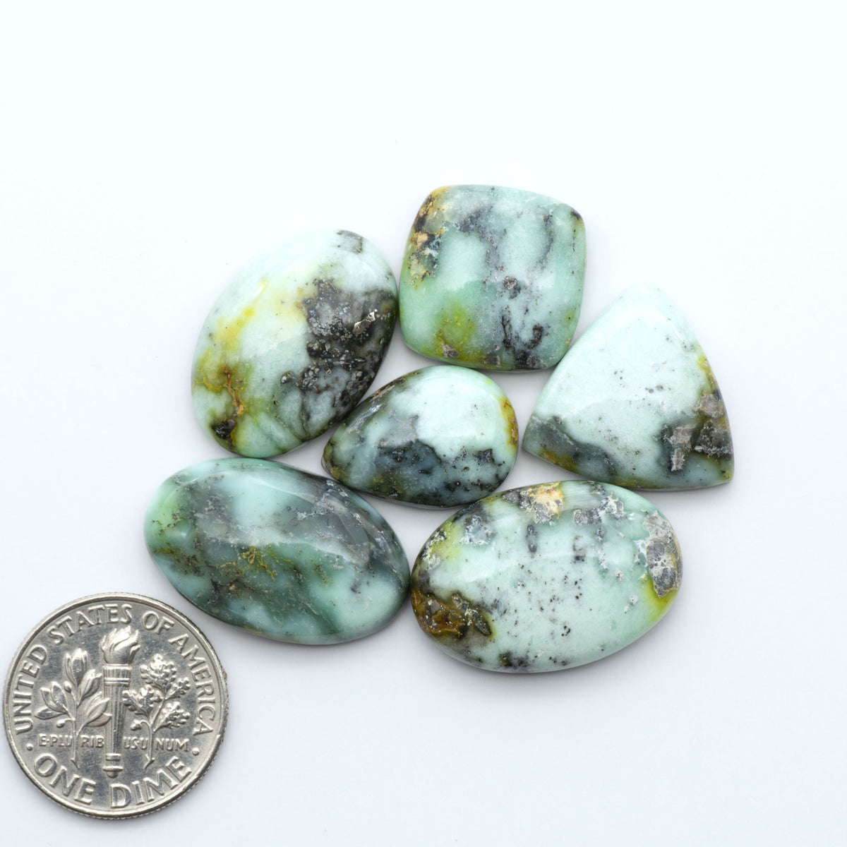 Palomino Variscite cabochons, polished yellow-green gemstones with natural matrix on a white background with a US dime for scale