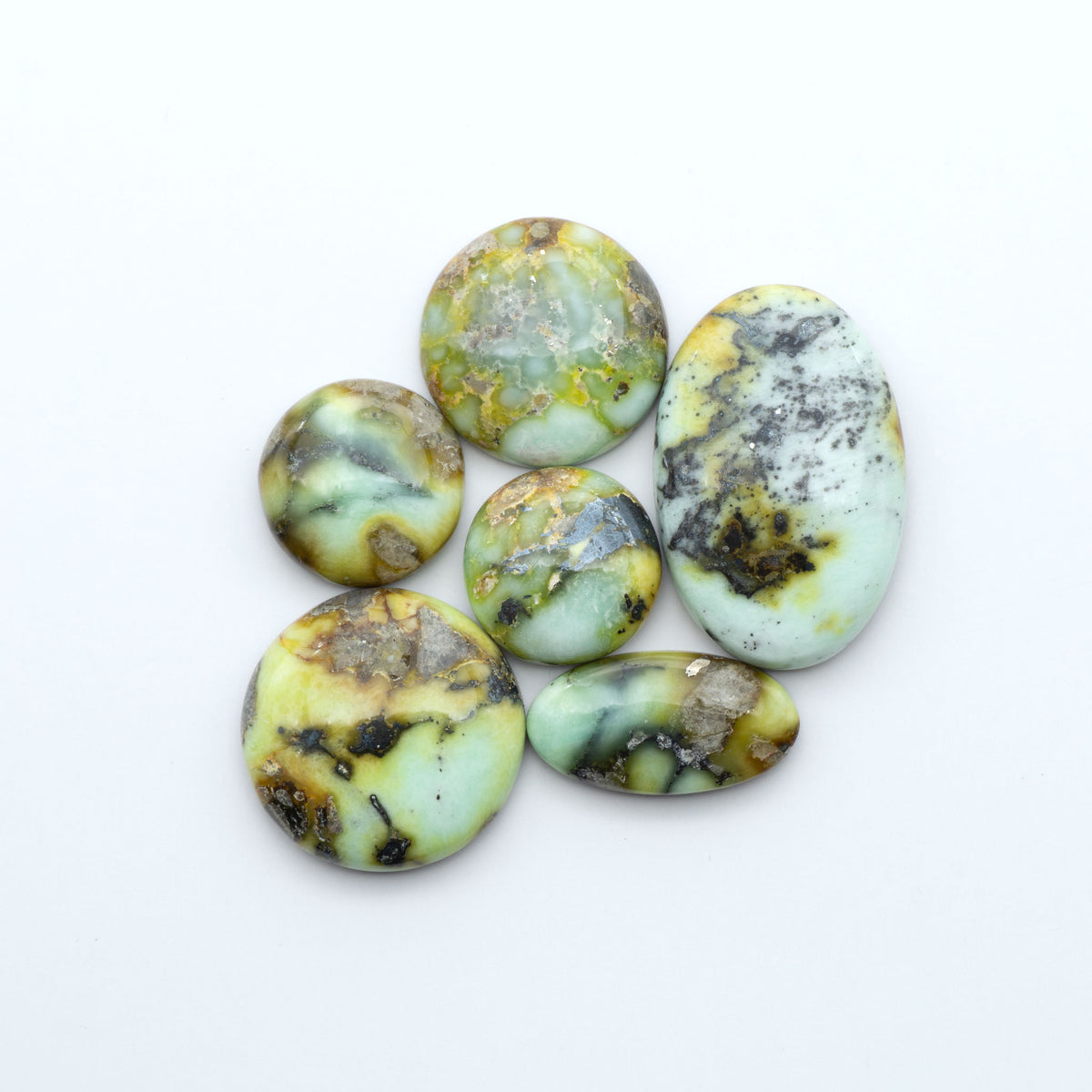 Palomino Variscite cabochons, polished yellow-green gemstones with natural matrix on a white background with a US dime for scale