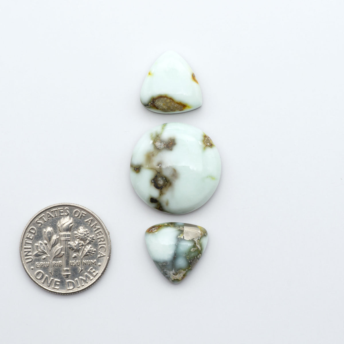 Palomino Variscite cabochons, polished yellow-green gemstones with natural matrix on a white background with a US dime for scale