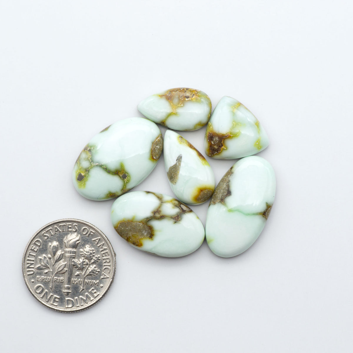 Palomino Variscite cabochons, polished yellow-green gemstones with natural matrix on a white background with a US dime for scale