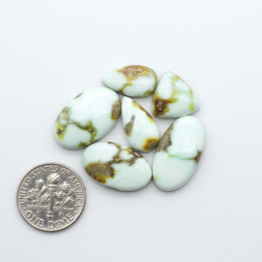 Palomino Variscite cabochons, polished yellow-green gemstones with natural matrix on a white background with a US dime for scale