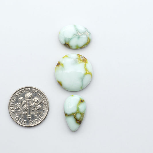 Palomino Variscite cabochons, polished yellow-green gemstones with natural matrix on a white background with a US dime for scale