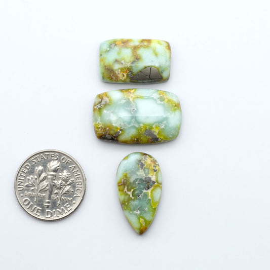 Palomino Variscite cabochons, polished yellow-green gemstones with natural matrix on a white background with a US dime for scale